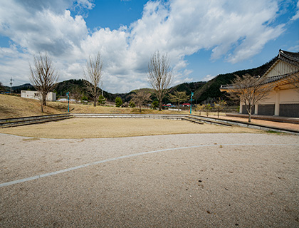 교육광장 사진
